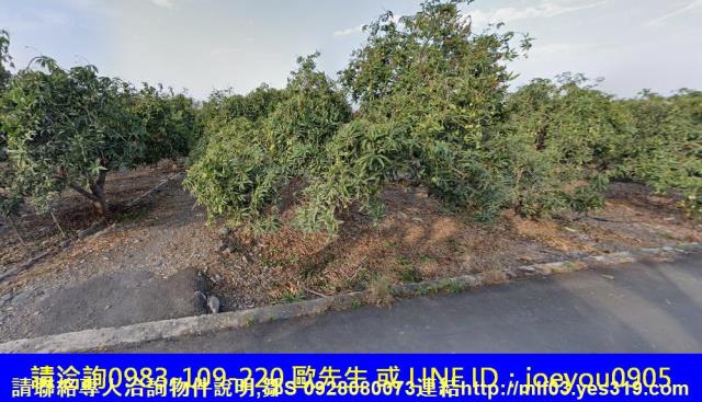 屏東長治法拍農地-9