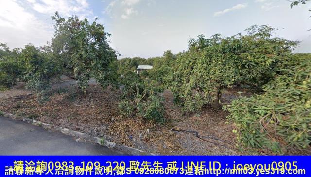 屏東長治法拍農地-3