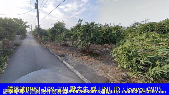 屏東長治法拍農地-4