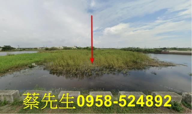 東石農地法拍-8