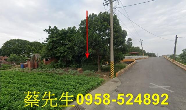六腳建地拍賣-14
