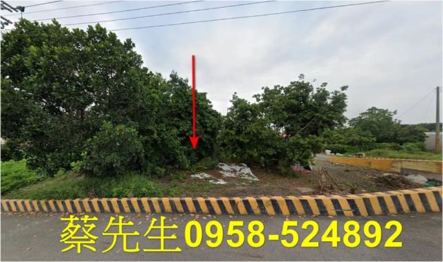 六腳建地拍賣-8