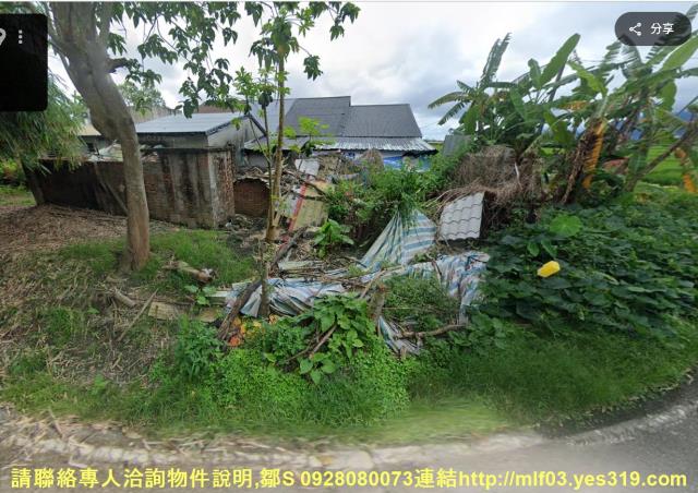 花蓮新城農地法拍-11