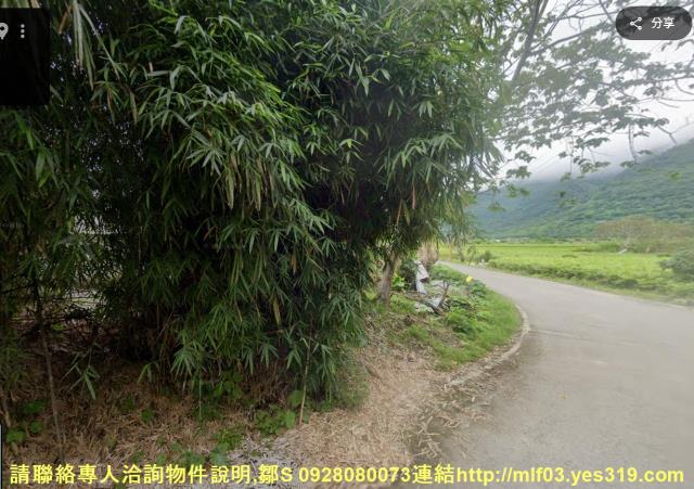 花蓮新城農地法拍-4