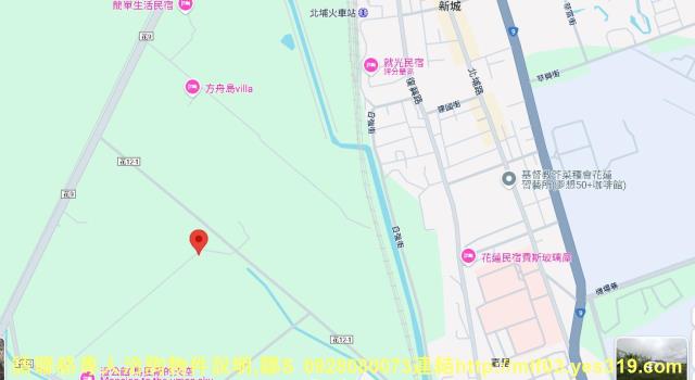 花蓮新城農地法拍-5