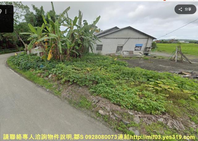花蓮新城農地法拍-7