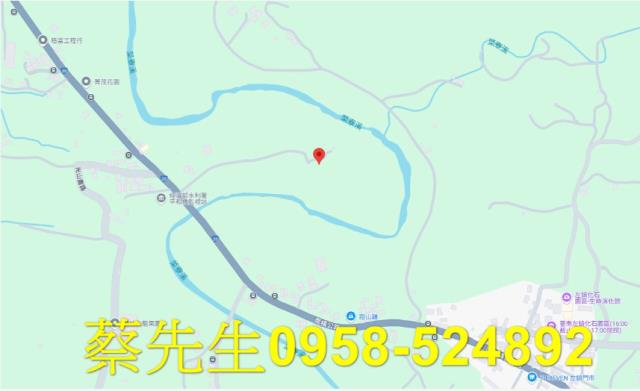 左鎮法拍農地-7