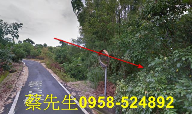 南化拍賣農地-13