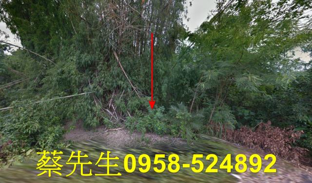 南化拍賣農地-0