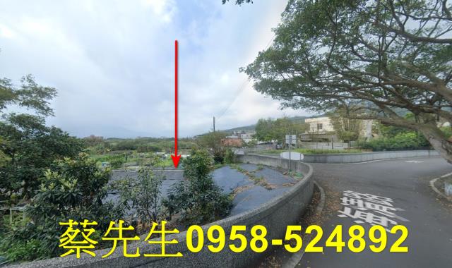 新北法拍農地-13
