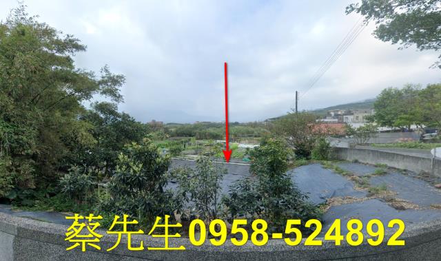 新北法拍農地-8