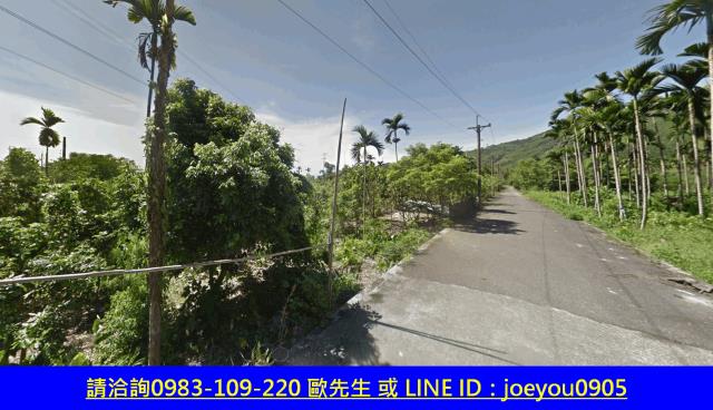 花蓮鳳林法拍農地-11