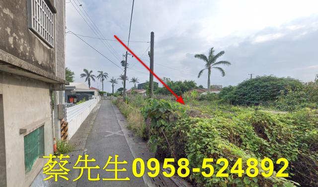 台南將軍法拍建地-5