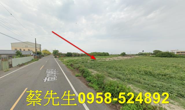 將軍法拍農地-12