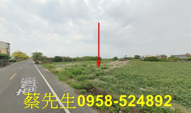 將軍法拍農地-3