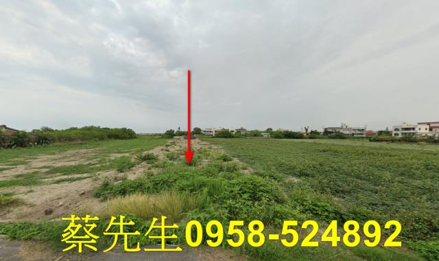 將軍法拍農地-8