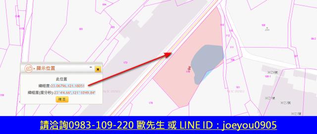 關山農地法拍-5