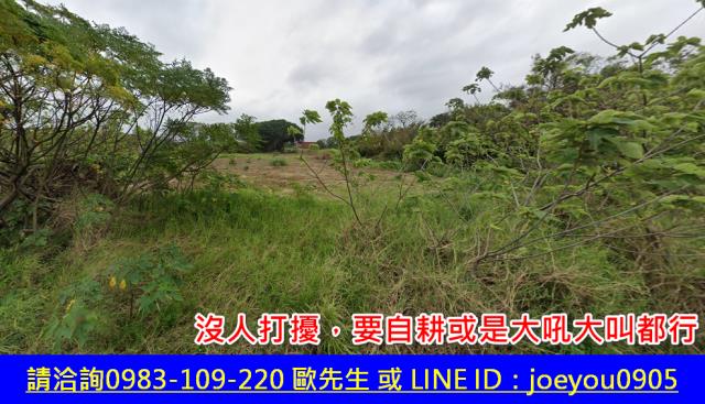 新竹新豐農地法拍-1