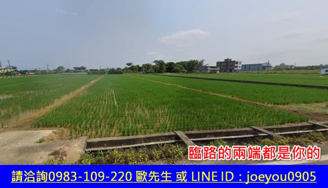 新竹新豐農地法拍-8
