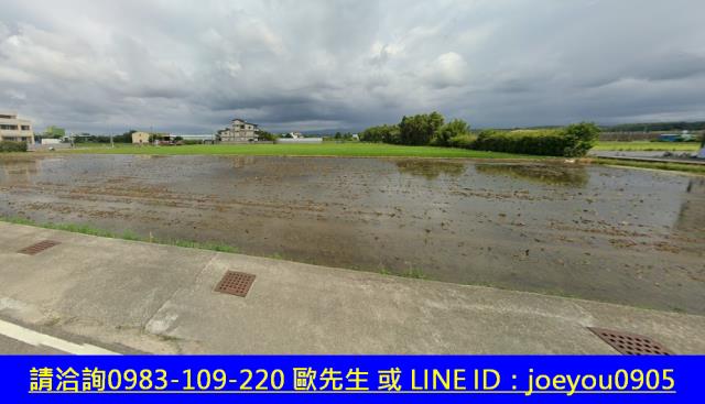 苗栗竹南農地拍賣-3
