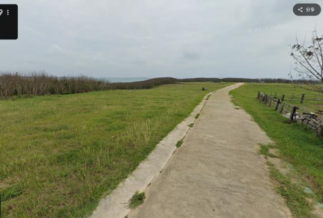白沙法拍農地-3