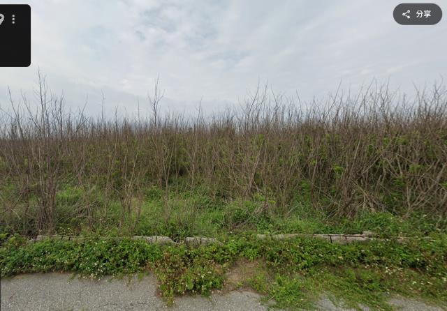 西嶼法拍農地-0