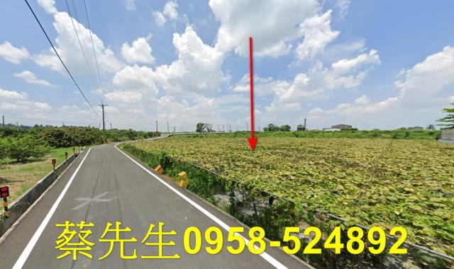 柳營法拍農地-13
