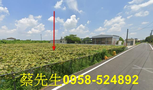 柳營法拍農地-3