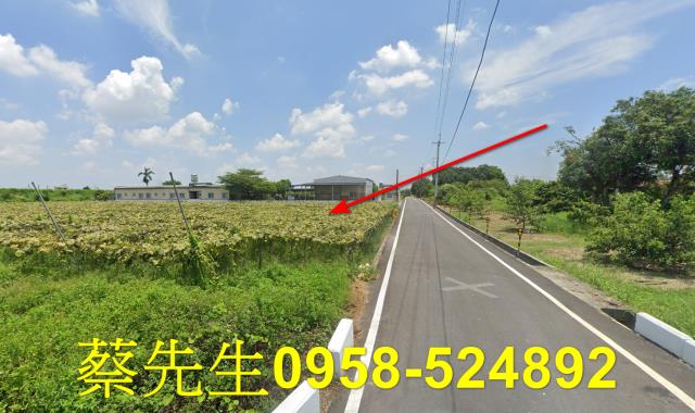 柳營法拍農地-4