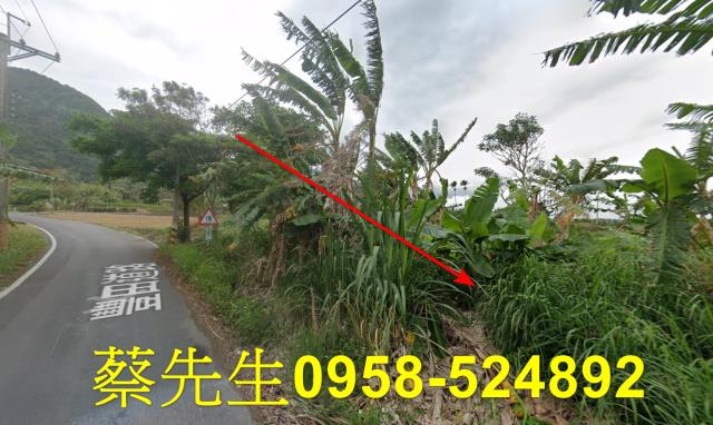 台東成功農地拍賣-11
