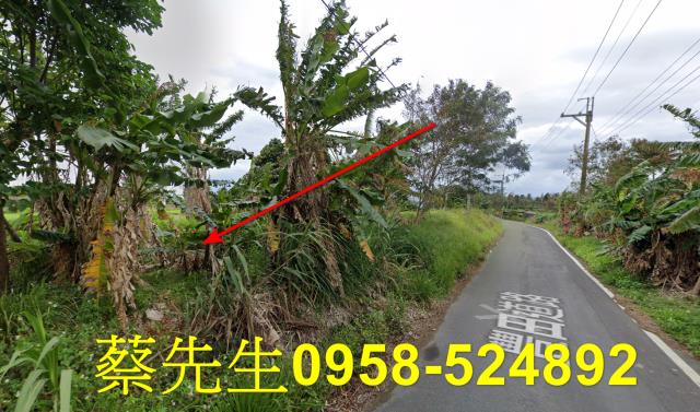 台東成功農地拍賣-13