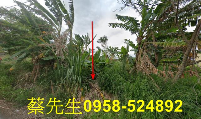 台東成功農地拍賣-0