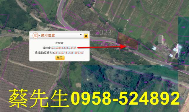 台東成功農地拍賣-2