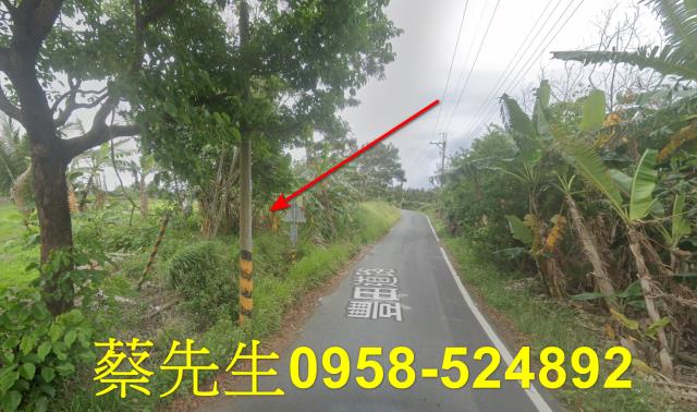 台東成功農地拍賣-6