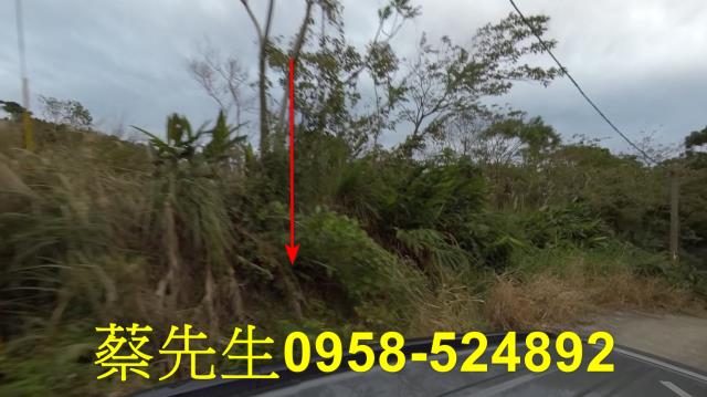 成功法拍農地-11