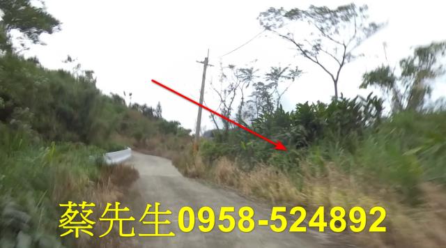 成功法拍農地-0