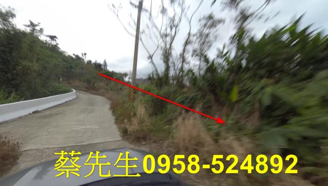 成功法拍農地-4