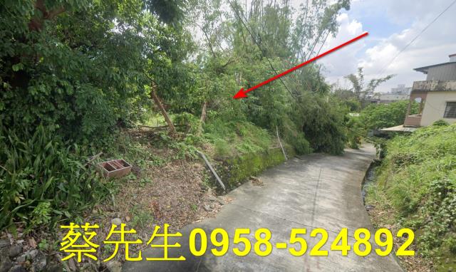 高雄建地拍賣-11