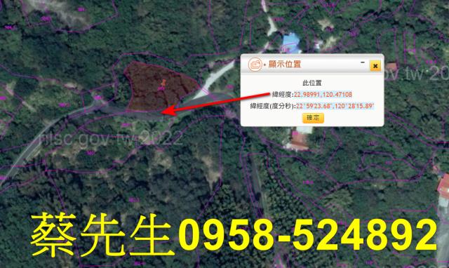高雄內門建地法拍-10
