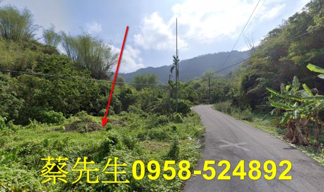 高雄內門建地法拍-13