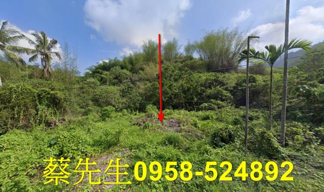 高雄內門建地法拍-0