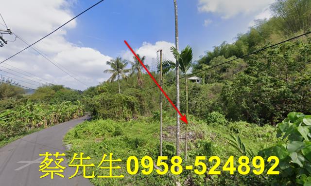 高雄內門建地法拍-3
