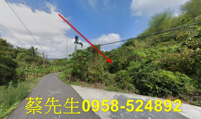 高雄內門建地法拍-4