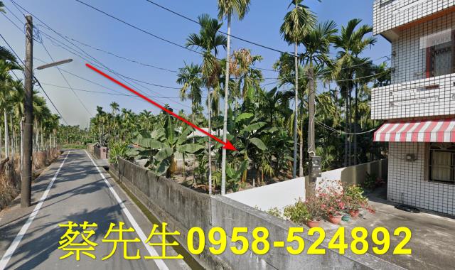 竹田農地拍賣-11