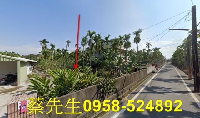竹田農地拍賣-13