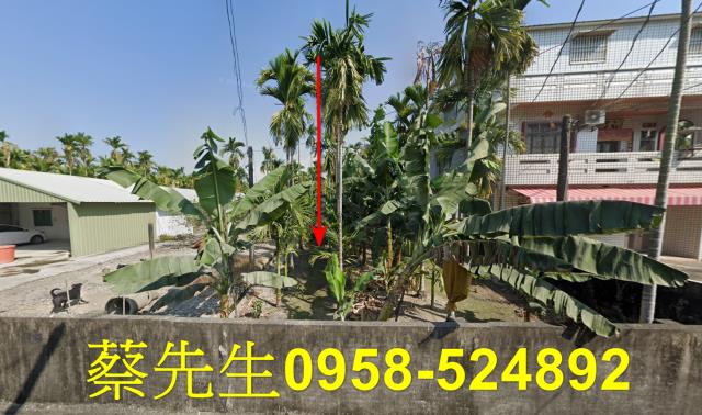 竹田農地拍賣-0