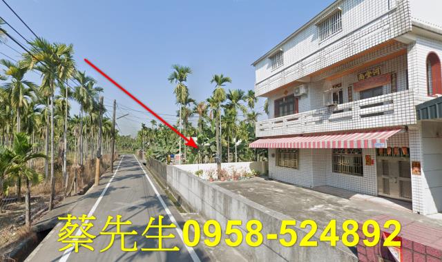 竹田農地拍賣-4