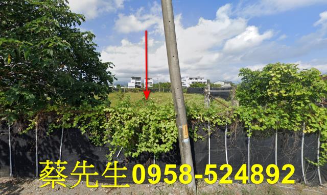 台東台東市拍賣農地-0