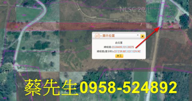 池上法拍農地-12