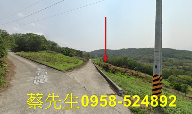 池上法拍農地-13
